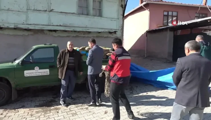 Tavşanlı’da Doğal Afetten Zarar Gören Çiftçilere Tohum Desteği